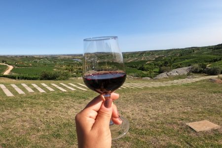 uruguay tour degustazione vino
